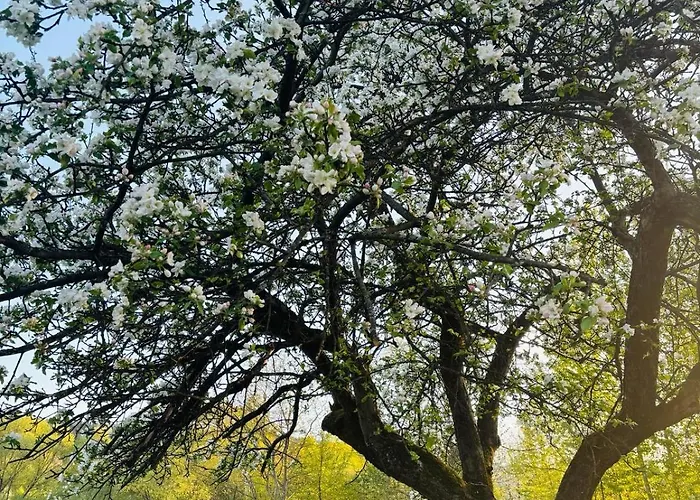 Dom Pod Jablonka Casa de Férias *