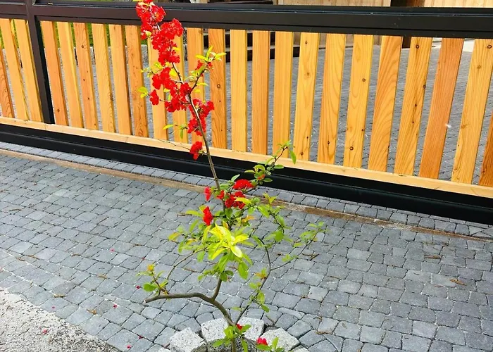 度假居 Dom Pod Jablonka